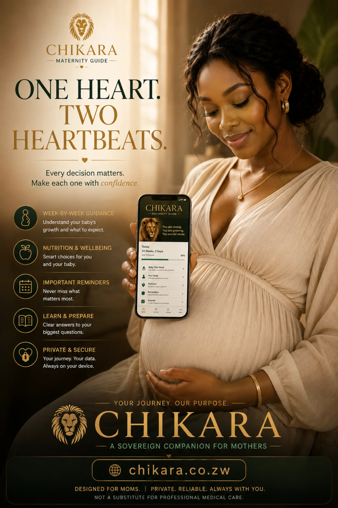 Maternity Guide campaign creative: One heart. Two heartbeats.